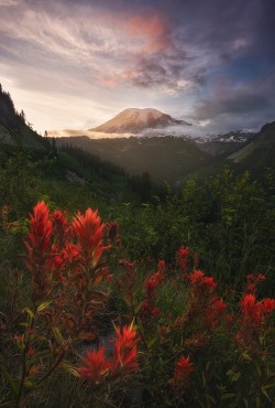 sublim-ature:  Mt. Rainier, WashingtonMax