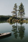 amazingride: