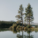 amazingride: