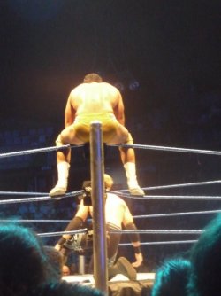 rwfan11:  Del Rio …no thong in this one,