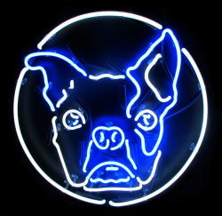 daveshumka:  neonandmore:  Custom Neon Signs