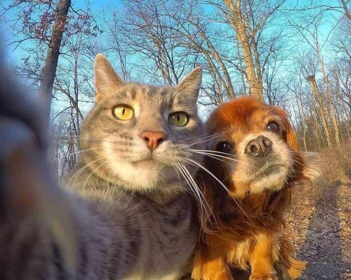 awwww-cute:  Casual selfie (Source: http://ift.tt/2x4RDs2)