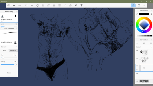 Bodies
