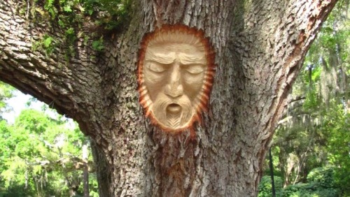 archiemcphee: Sculptor Keith Jennings carves sage and serene faces into the trunks of trees for a p