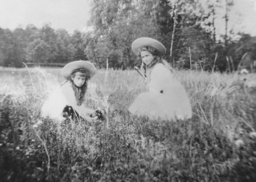thelastromanovsofrussia: Olga and Anastasia picking flowers - 1909
