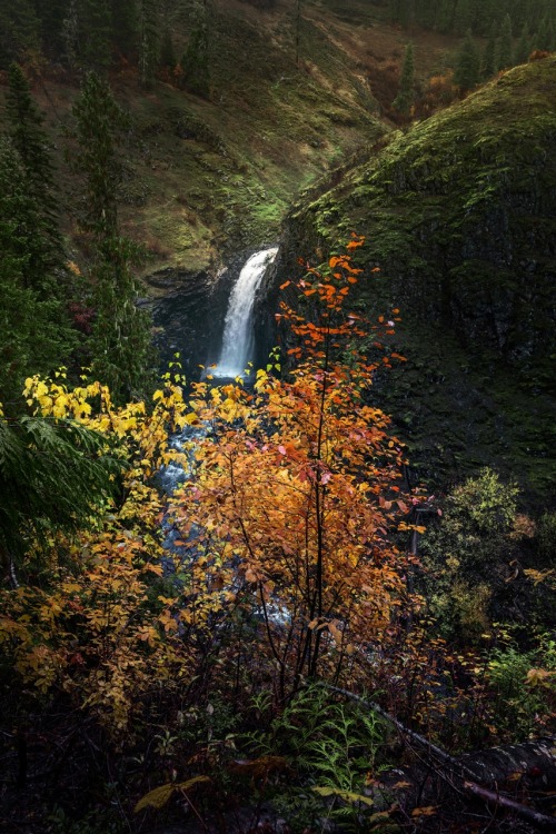 Fall colors at one of Idaho’s hidden gems.