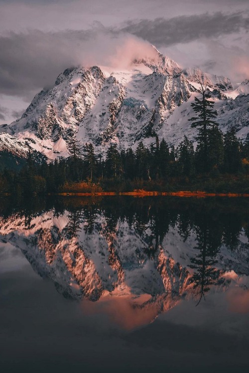 alecsgrg:By: Jason Reynolds