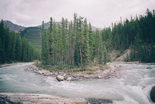 alcyere:  canada #37 by níls on Flickr. 
