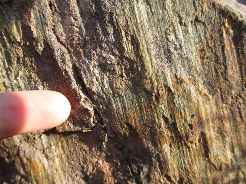 Lights, Camera, Action!As a geologist I spend a vast amount of time staring at rocks, whether it be 