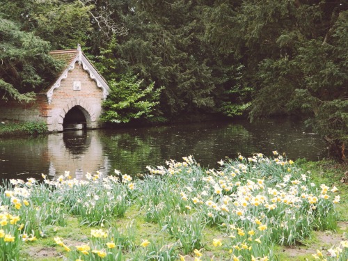 englishcountrycottage:Audley End, March 2012