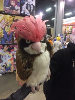 pepperandpals: Check out this awesome pidgeotto