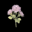 weizenfeldbouquet