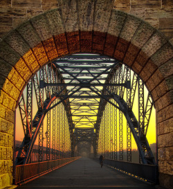 geographically-challenged:  liebesdeutschland:Süderelbbrücke,