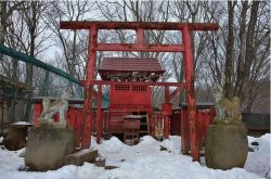 sixpenceee:  Fox Village   This fox village is called Zao Fox Village and it’s located in Japan’s Miyagi. The fox village is a sanctuary for about 100 free-roaming foxes. Visitors can purchase food to feed the foxes for the equivalent of about a