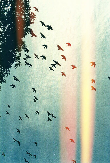 teenagehipst3r:  Instagram - teenagehipsterblog