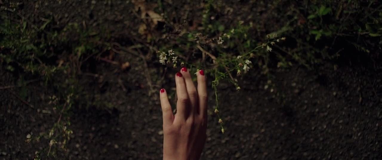 ozu-teapot:  It Follows | David Robert Mitchell | 2014