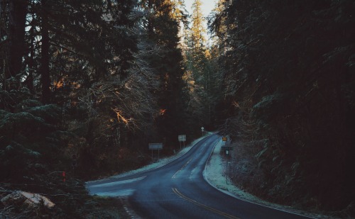 pandcoclothing: folklifestyle:  dirtlegends:  Washington  Use code “tumblr” for 50% off your order a