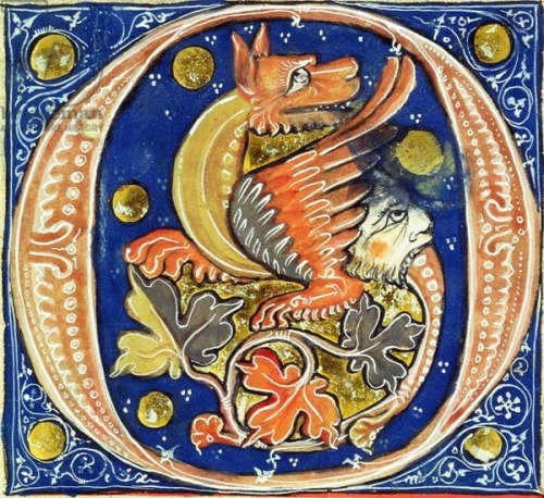 Historiated initial &lsquo;O&rsquo; depicting a winged griffin (vellum), French School, (14t