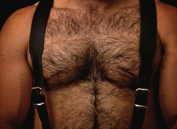 Dudes that are Hairy