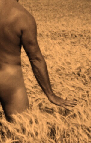 sixtysexyandfit:  Walking through the wheat naked. (Warning: wheat is super-itchy)  me  Growing up a farm kid in wheat country, this makes soul smile! -fms