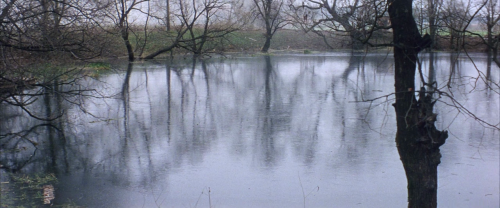 “Солярис (Solaris)”, directed by Andrei Tarkovsky, 1972.