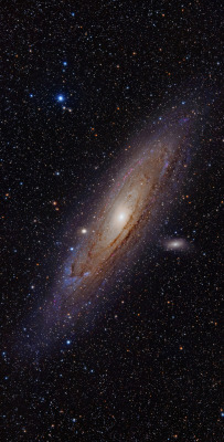 astronomicalwonders:  The Great Andromeda Galaxy  The Andromeda Galaxy, also known as Messier 31 or NGC 224, is a spiral galaxy that is approximately 2.5 million light-years away in the Andromeda constellation. The Andromeda Galaxy is the nearest spiral