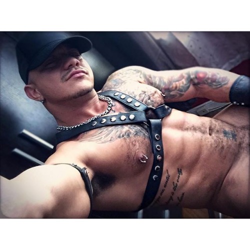 Leather chacal - chacal en cuero