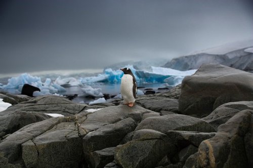 nubbsgalore:  destination desolation. photos by sebastian copeland, who travels the earth’s polar regions - even crossing antarctica by kite in eighty one days - to document a landscape he sees as both the front lines in the battle against climate