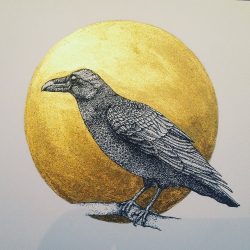 pen, ink and gold powderMerlin the Raven, drawn by Jessica Enlow