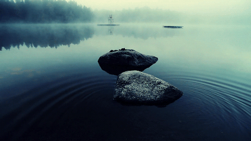 banshy: Early Morning by the Lake Fjällnora by Bart van der Gaag
