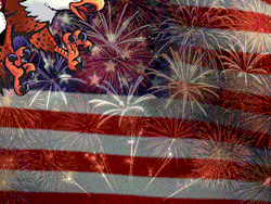 bombpop:  Fourth of July: SO AMERICA RN.