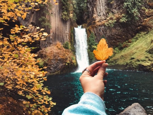 Toketee FallsCentral Oregon, October 2018Another little adventure to central Oregon for my best frie