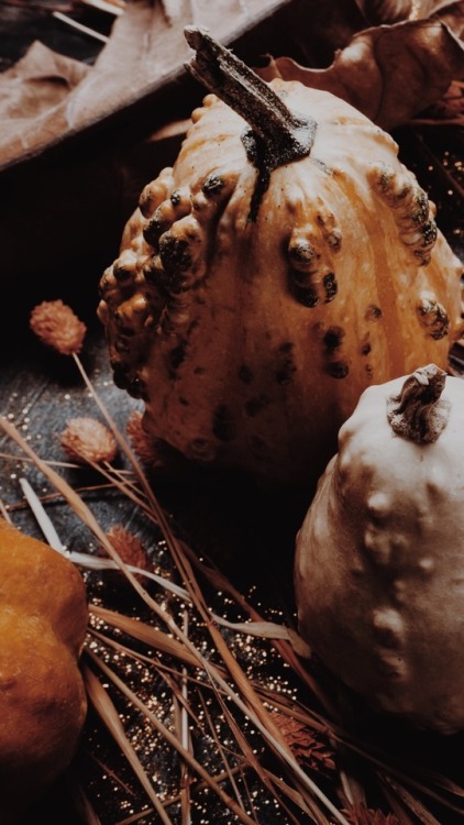 seasonalaesthetics:Here’s a new set of autumn/halloween lockscreens! Please like and reblog if you s