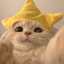 aayxumu