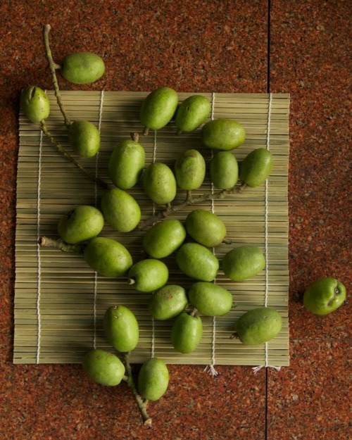 seeds  Germinate 100% fresh and clean 40~ ceylon olive veralu Rare fruit 