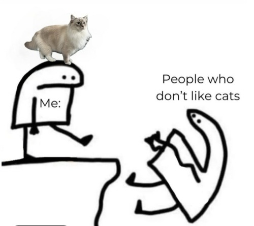 insertcatsnamehere - Camizilla