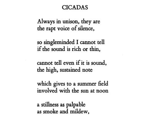 exhaled-spirals: Lisel Mueller, “Cicadas” in Dependencies (1965)