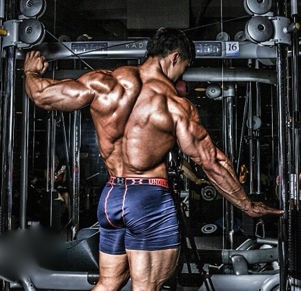 muscle lover
