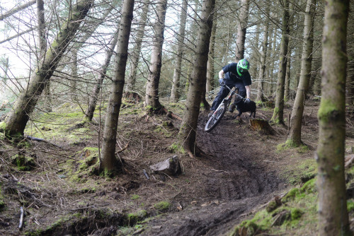 ia1n: Kenny McLean / Kelburn