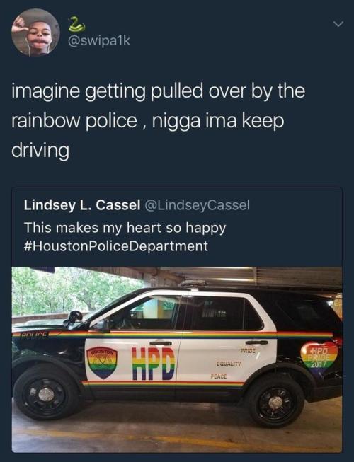 melonmemes:  Rainbow Police