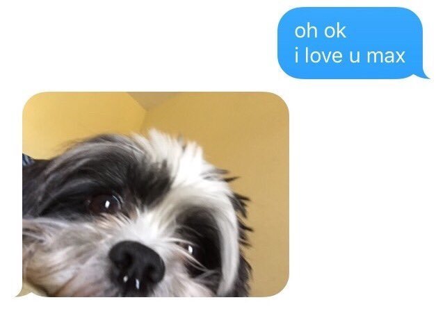 babyanimalgifs:baby animals blog