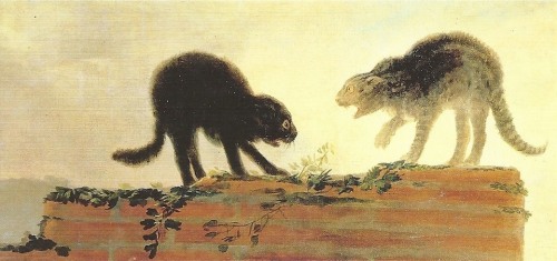 herralexanderalexander:Francisco José de Goya y Lucientes, Cat Fight, ca.1786