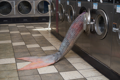 itscolossal:  Mysterious Mermaid Tails Lodged in Laundromat Machines by Olivia Erlanger