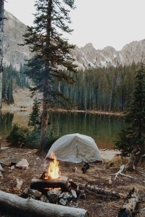 Perfection