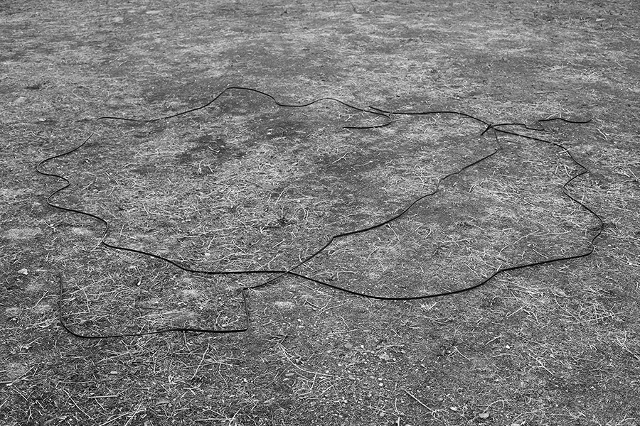 untrustyou:  Bärbel Praun