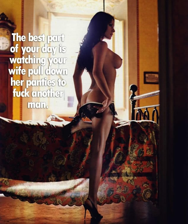 hotwifememe:    Hot Wife and Cuckold Meme   