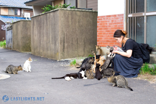 lastlightsnet: Back here in Ainoshima, a.k.a. Cat Heaven Island, a small fishing village island off 