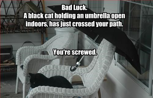 Porn Pics Every black cat has its Friday