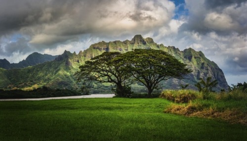 Photographer Trey Ratcliff (New Zealand)  500px  Facebook  Twitter    