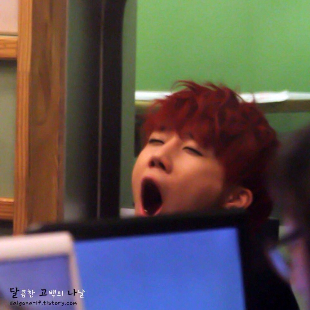 dongwtf:  Sleepy Gyu (๑ᵕ0ᵕ̤) zZ 